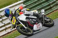 Advanced Group White Bikes	